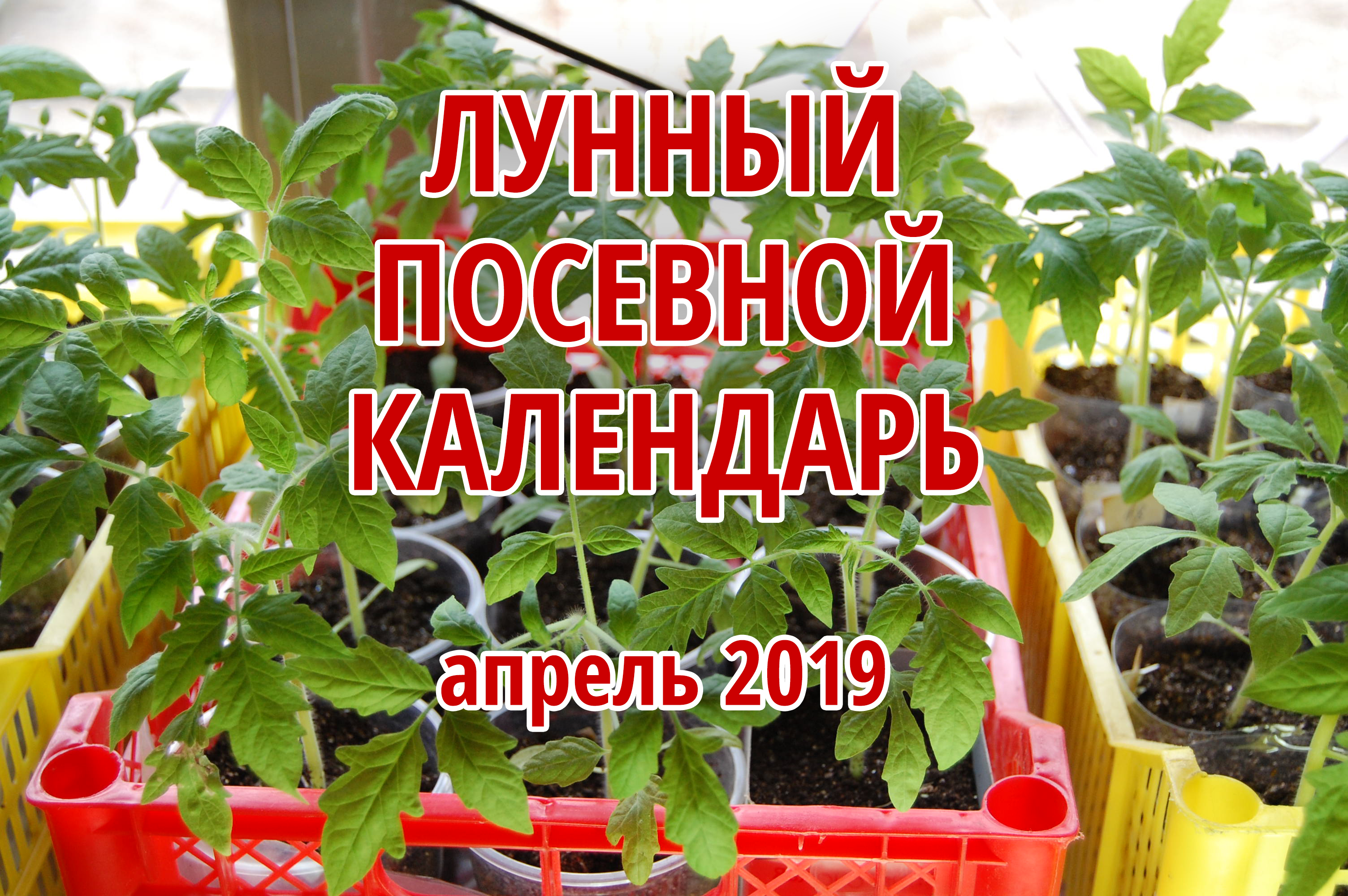 Урал 2019: Лунный календарь садовода, огородника