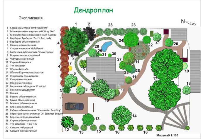 Система автоматического полива - устройство, монтаж своими руками