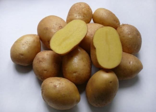 В поисках самого вкусного: находим идеальный сорт картофеля на посадку
