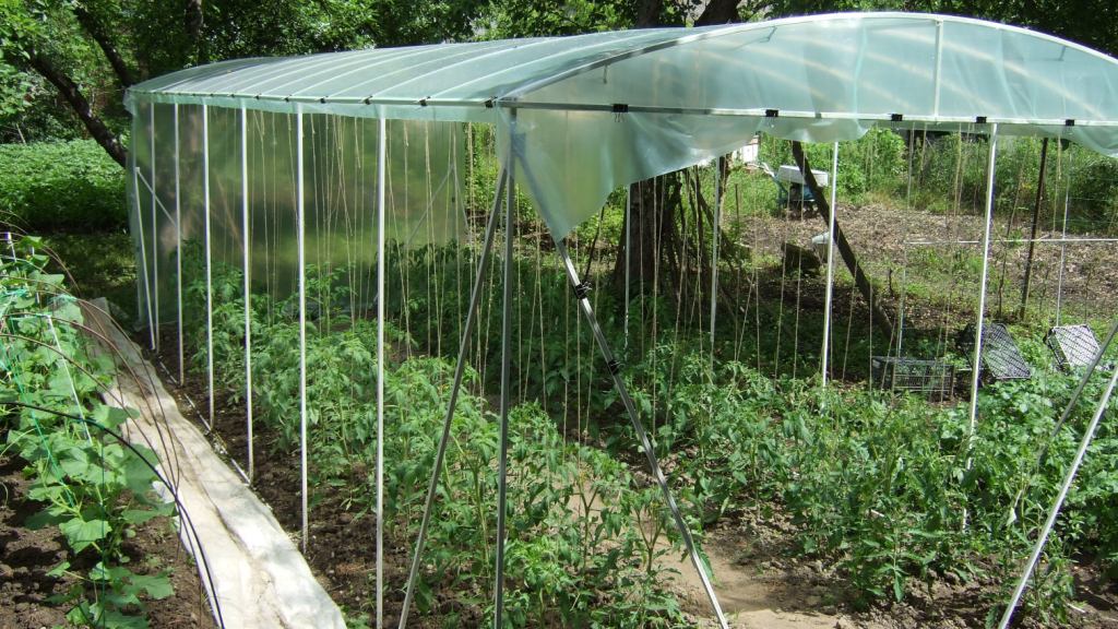 Хитрости дачника: какие удобрения вносить осенью под перекопку в теплице для помидор и огурцов